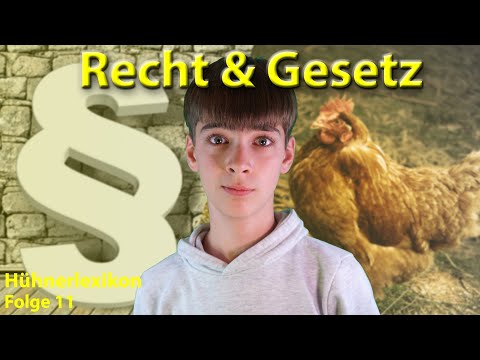 1. Unklare oder übermäßig komplizierte Bonusbedingungen