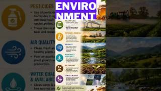 Environmental Factors Affecting Honey Quality 🍯 | Pollution, Climate &amp; Water Explained ! #beekeeping