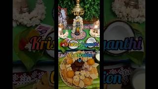 krishna jayanthi #gogulashtami celebration #trending #shorts screenshot 5