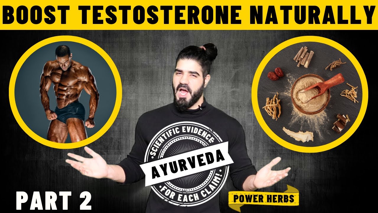 How to Boost Testosterone With Power Herbs Scientifically Proven