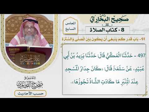 [497] حديث: كان جدار المسجد عند المنبر ما كادت الشاة تجوزها [كتاب الصلاة]