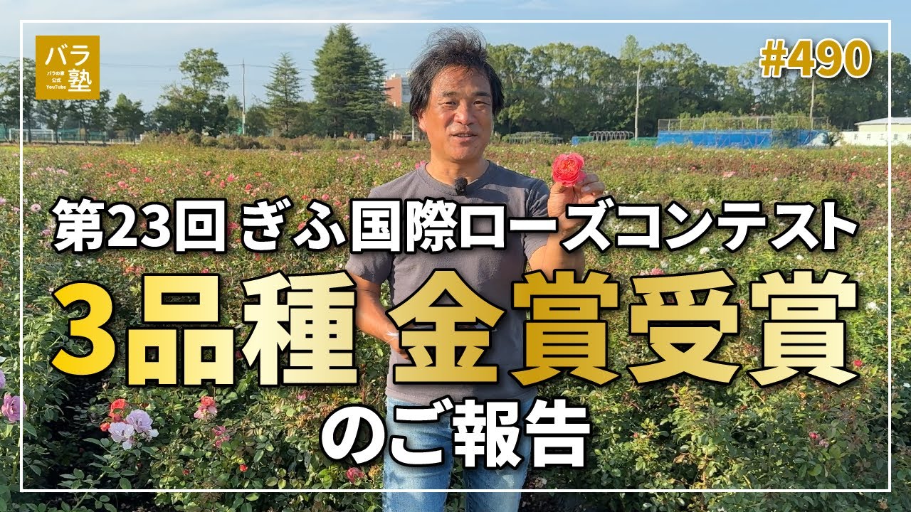 490 23rd Gifu International Rose Contest: Three varieties win gold