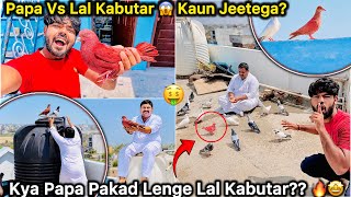 Chath Pr Suprise Mila 🤑 || Papa ne Pakda Lal Kabutar 🔥🕊️