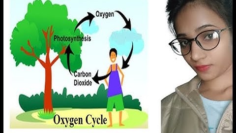 oxygen cycle||Biogeochemical cycle|| Natural resource|| Class-9th||Biology||