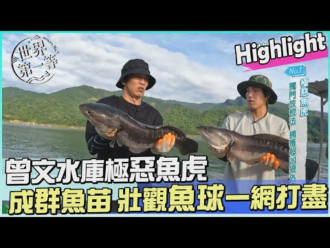 【嘉義】曾文水庫獨門放棍法 捕獲超兇極惡魚虎｜《世界第一等》1062集 Highlight 精彩搶先看