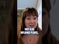 Astrology as an Energetic Language