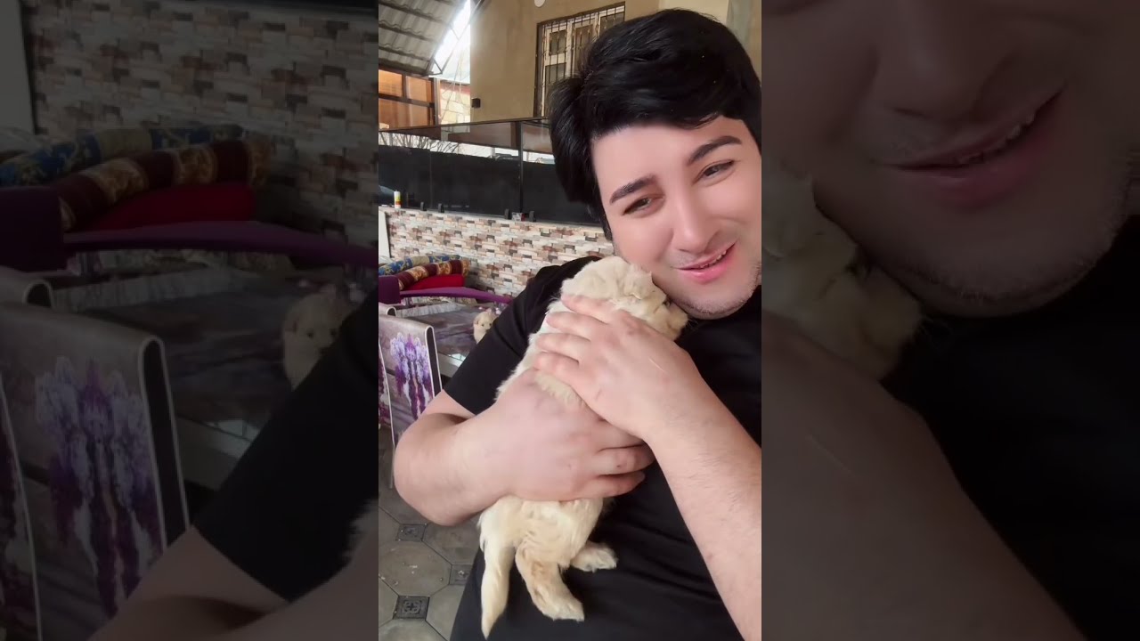 Baboş itlərin sahibləndirir,yemək çatdıra bilmədiyini dedi🥰