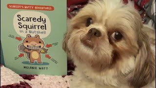 Scaredy Squirrel Chapter Two