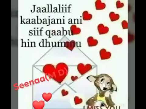 Wowww Sirba Baaye Nati Toludha Waa Ee Jallala Koota Ijoole Teenya Ittin Bashanana 