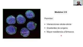 De la molécula a la función biológica: modelos in vitro e in vivo para evaluar compuestos bioactivos
