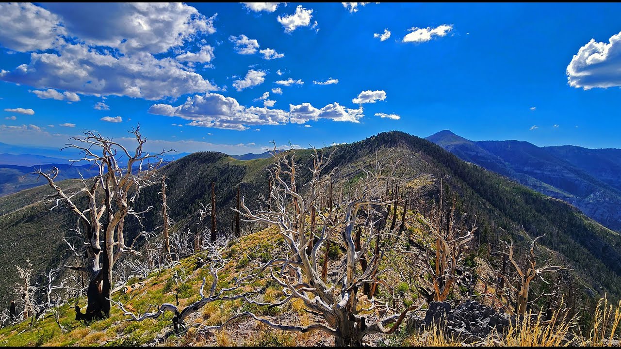 Harris Mountain Triangle Complete | Mt. Charleston Wilderness, Nevada
