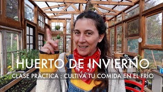 Clase práctica de cómo cultivar tus alimentos en el Frío #HuertodeInvierno