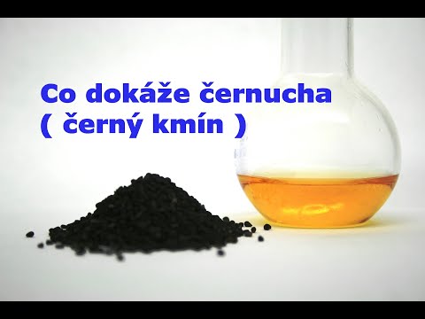 Video: Dospělí o dětech. Část 1