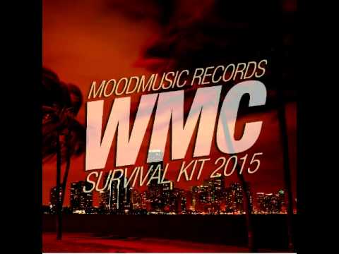 Satoshi Fumi & Hiroshi Watanabe - Time Lapse (Freestyle Man Remix)