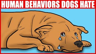 Human Behaviors Dogs Hate and Wish You'd Stop Doing