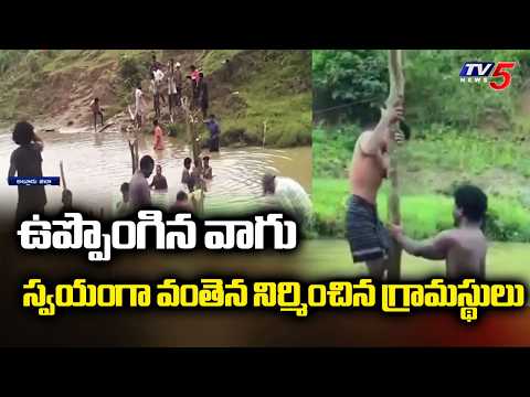 Overflowing Stream: Villagers Build a Wooden Bridge | Alluri District Wooden Bridge | TV5 News