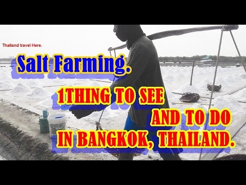 Top Things to See Solt Farming .,SAMUT SONGKHRAM, Thailand Travel Here.