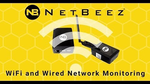 How to Use the NetBeez API