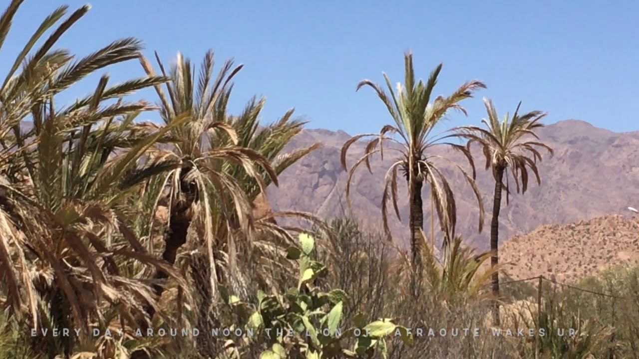 The lions head of Van Valley, Tafraoute, Morocco, Maroc