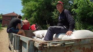 IMT 558 - Transporting wheat