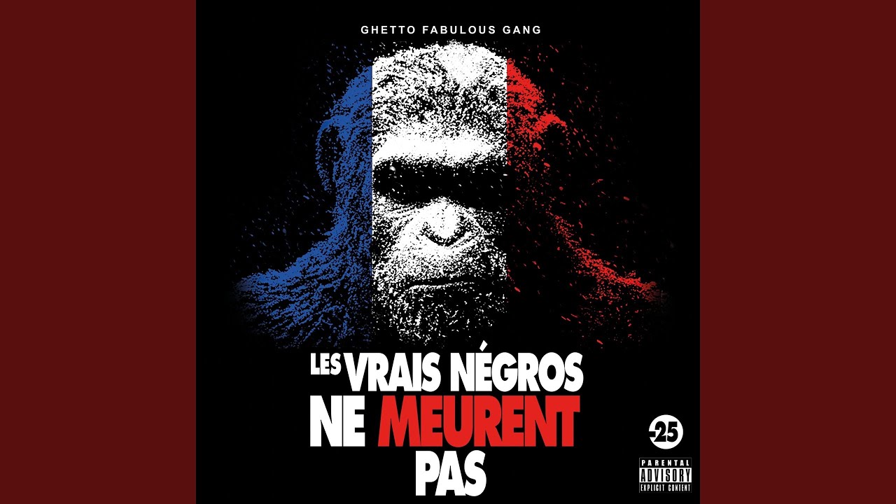 Je ne suis pas ton négro