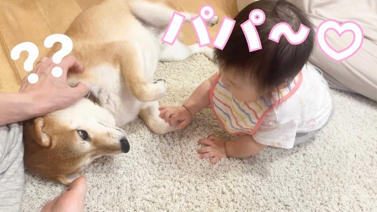 りんご郎 GjPgVGyaQAAALca.jpg