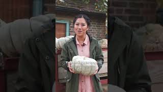 The Best AUTUMN Vegetable...?! Net Worth