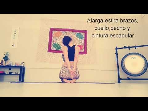 Posturas de antebrazos para principiantes. Pinchamayurasana y sus variantes. yoga para niños