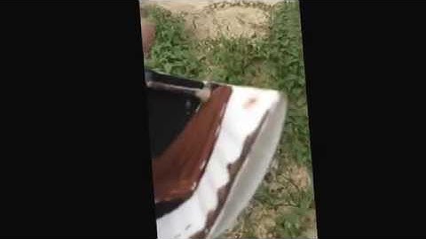 Homemade wind dove decoy