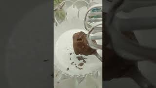 Choco Bar Ice Cream #ViralShorts #ChocoBar #IceCream #Foodie #Satisfying #DessertLovers #viralreels