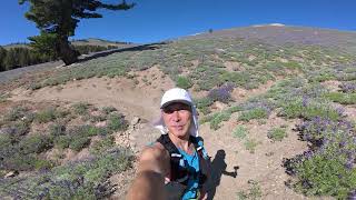 Trter 2025 대회 14