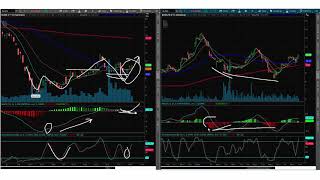Trade Examples - BC, PS, BLMN, CARG, INO