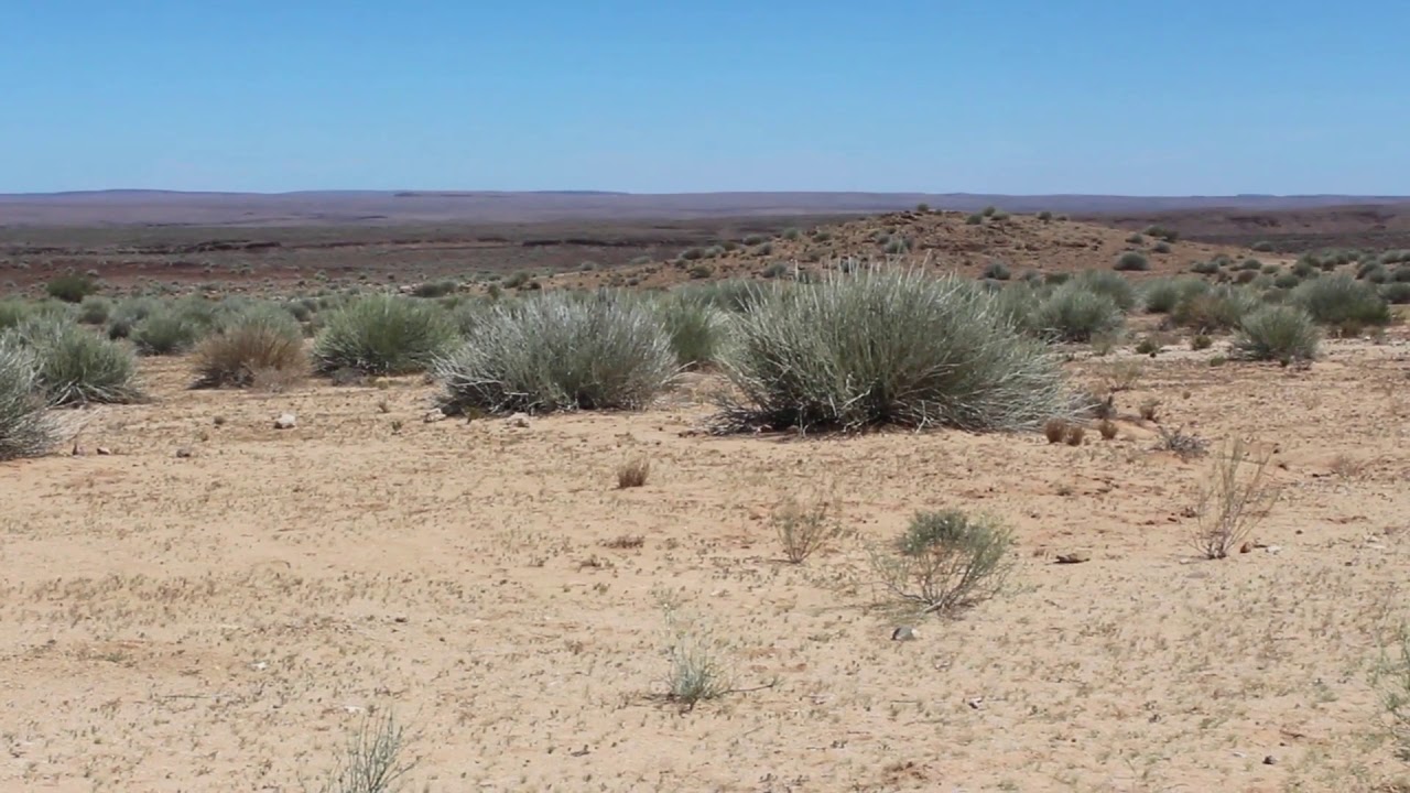 namibia africa a landscape with sparse vegetation