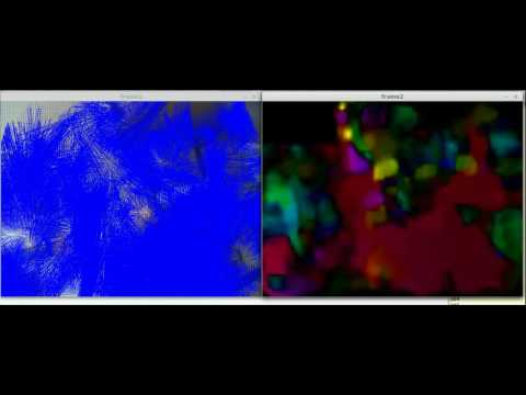 Optical flow