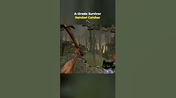 Masterclass in Hatchet Catching