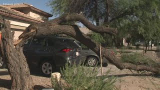 Queen Creek neighborhood cleaning up after Tuesday's monsoon storm