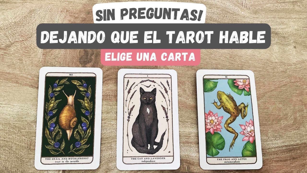 sin-preguntar-el-tarot-responde-tarotinteractivo-tarothoy
