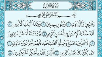 سورة التين مكررة  Holy Quran , Surah  At-Tin #قرآن #قران_كريم #قرأن #قصص #قرآن_كريم #quran #history