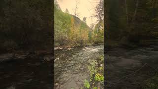 Рыбалка 🎣 на хариус #fishing #ловивкайф #ловляхариуса #рыбаквко