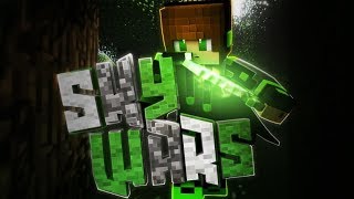 Dprogaming plays Sky Wars Duels