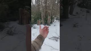 Advice Needed: Bringing Down Hung Tree