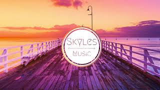 VIBE - Skyles Music [TROPICAL HOUSE]