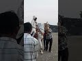 horse dance #shorts#ytshorts#youtubeshorts#viral#viralvideo#trending#trendingvideo#explore