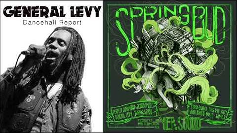 General Levy - Dancehall report - Spring Bud riddim