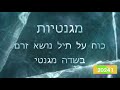 כוח אמפר- כוח על טייל נושא זרם בשדה מגנטי 1 2024