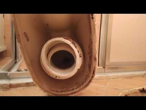 Tualet haqidagi hikoyadan keyin meni yalaydi