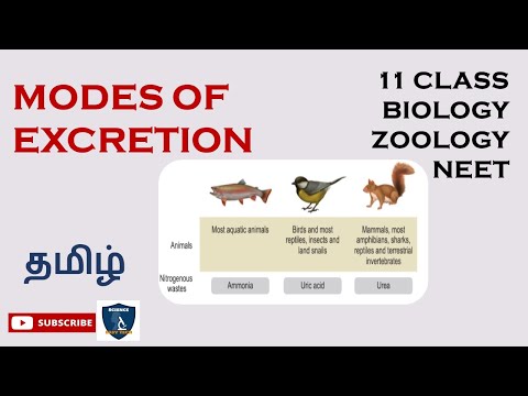 Modes Of Excretion in Tamil | Excretion  | Zoology | Class 11 | TNSCERT | NEET