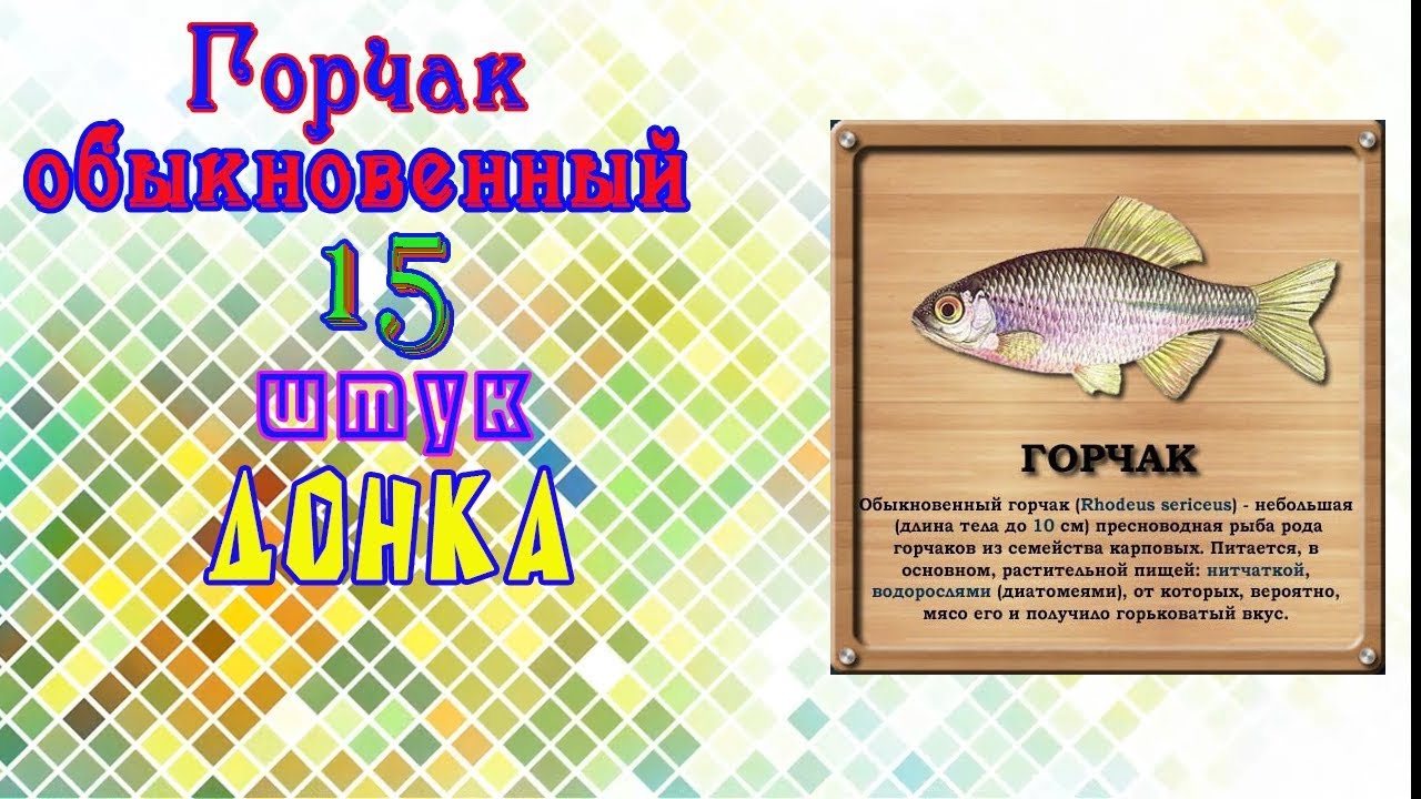 Fantastic Fishing  - Донка  - Выловить 15 штук  -  Горчак обыкновенный.