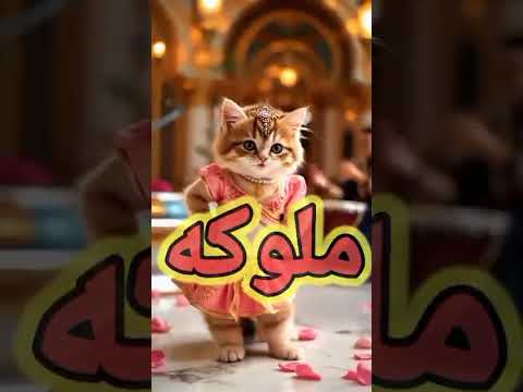 اغنية ملوكة الفيديو كامل على القناة اغنية باسم ملوكه اووو ملوكا اغنية ملوكة القمر ملك مليكة مليكه