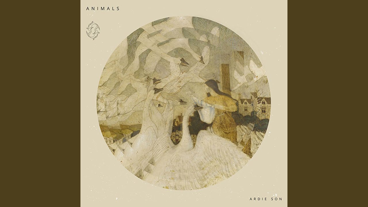 Watch Animals on YouTube Watch Animals on YouTube